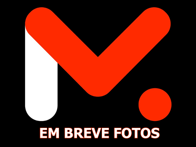 VOLKSWAGEN FOX 2011