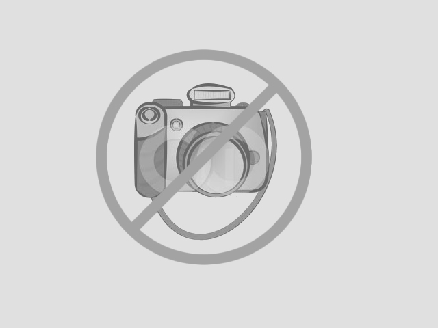 foto do veículo Renault Logan   